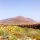 Il Camino Natural di Fuerteventura #Trekking #Islas Canarias